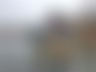 Fishing Competition! Not really...