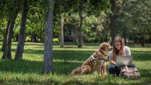 A pet sitter working on her laptop in a woodland area, with a dog sat next to her.