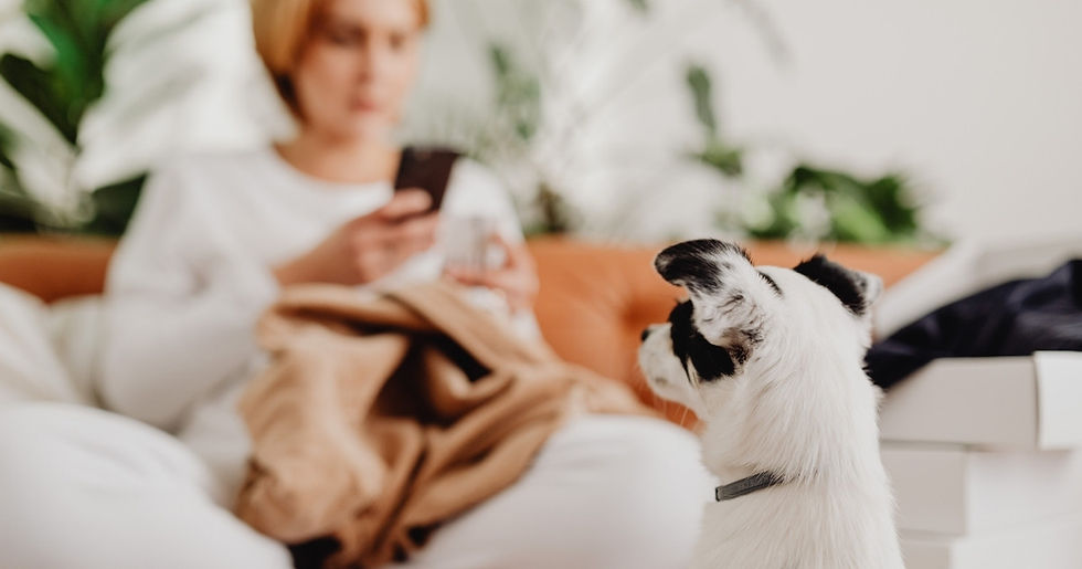 Pet sitter managing bookings on a mobile phone while sitting with a dog, illustrating the time spent on admin in a pet care business.