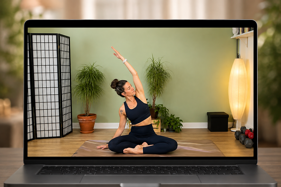 Yogafit en demande chat rendu1.png