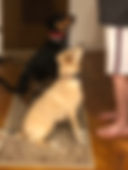 Bourbon & Murphy