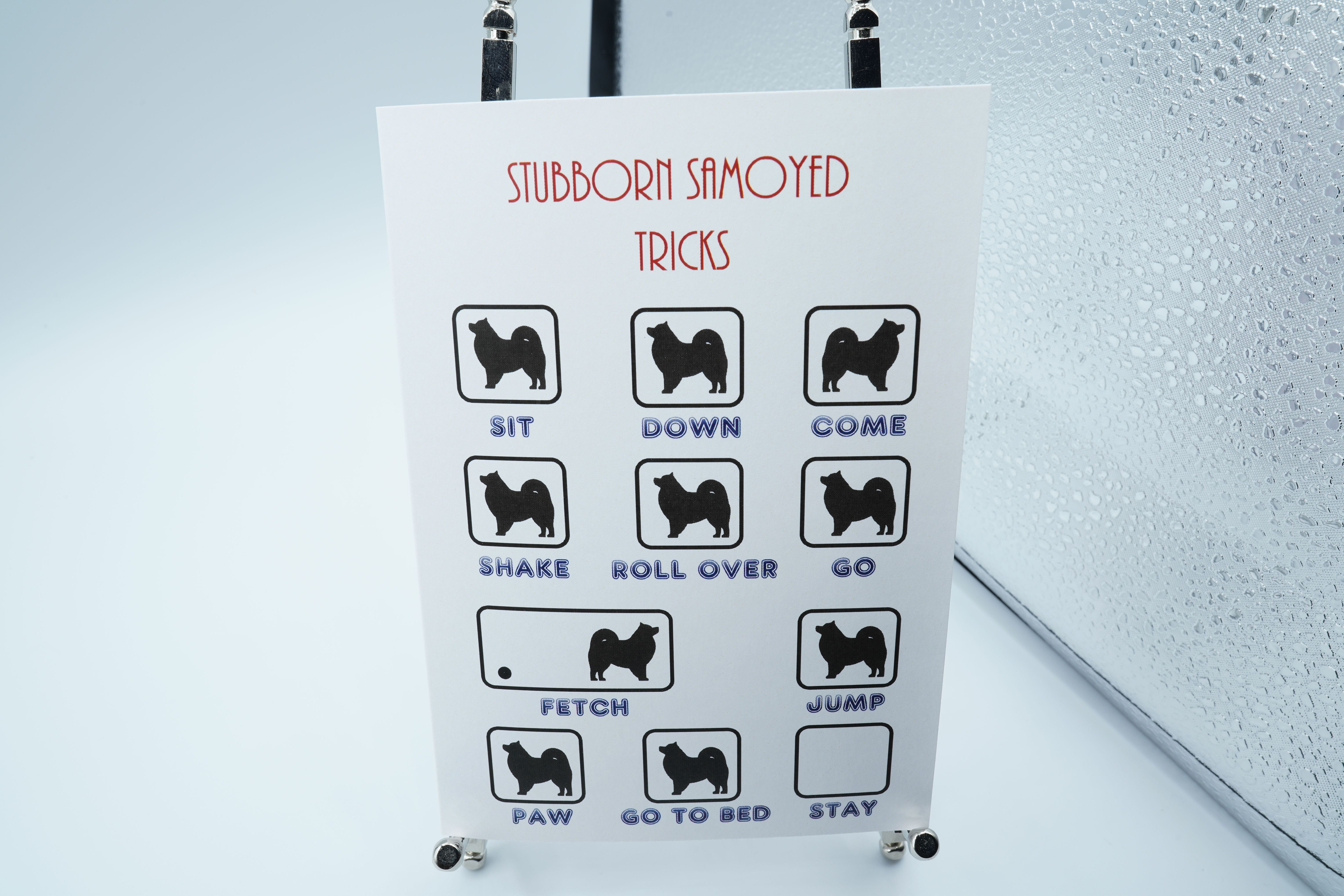 Stubborn Samoyed Dog A6 Greetings Card High Quality Print on 300gsm Smooth Card