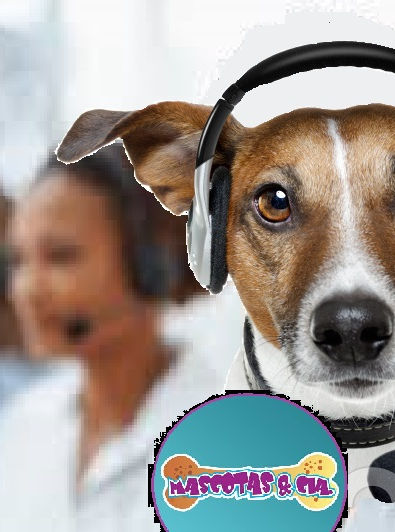 call center.jpg