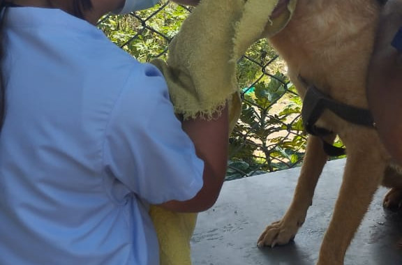 Bañatón FUPESNO