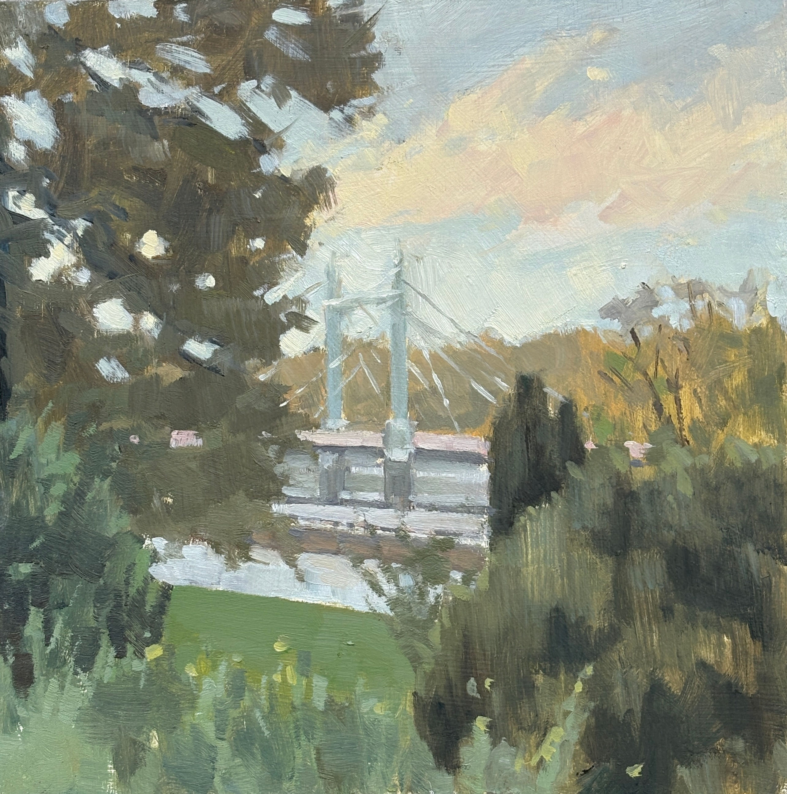 A glimpse of Albert Bridge