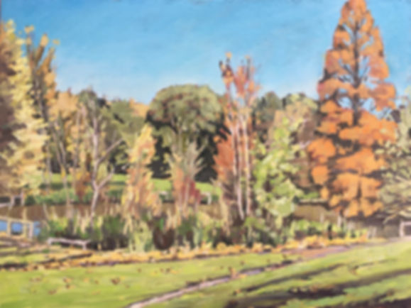 Wandsworth Common autumn colours