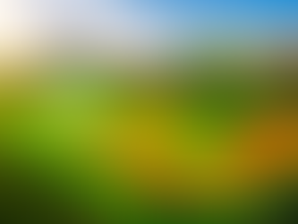 NDVI Mapping with Drones: How to Identify Crop Stress Early
