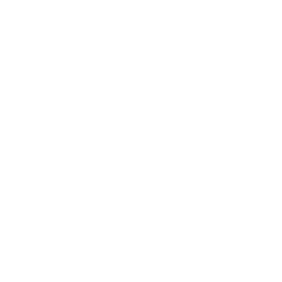 Saranvi_ High-speed Wi-Fi.png