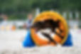 _A9_1851-Edit.jpg