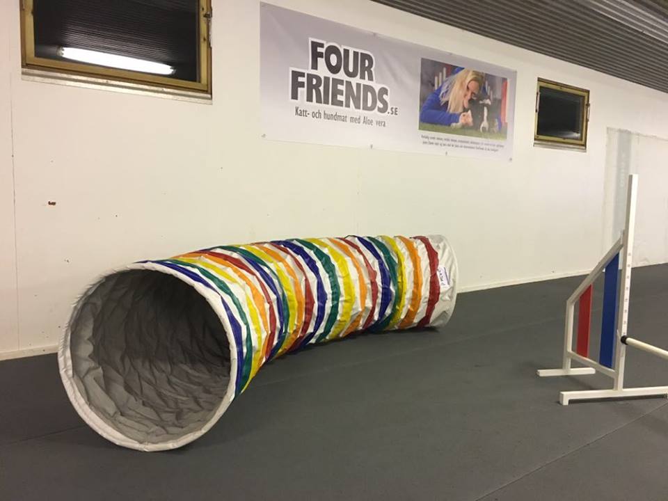 Jenny's Tunnels trippeagility