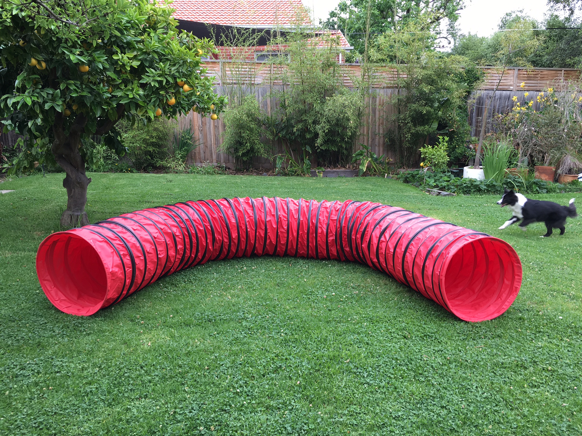 Slinky Tunnels trippeagility