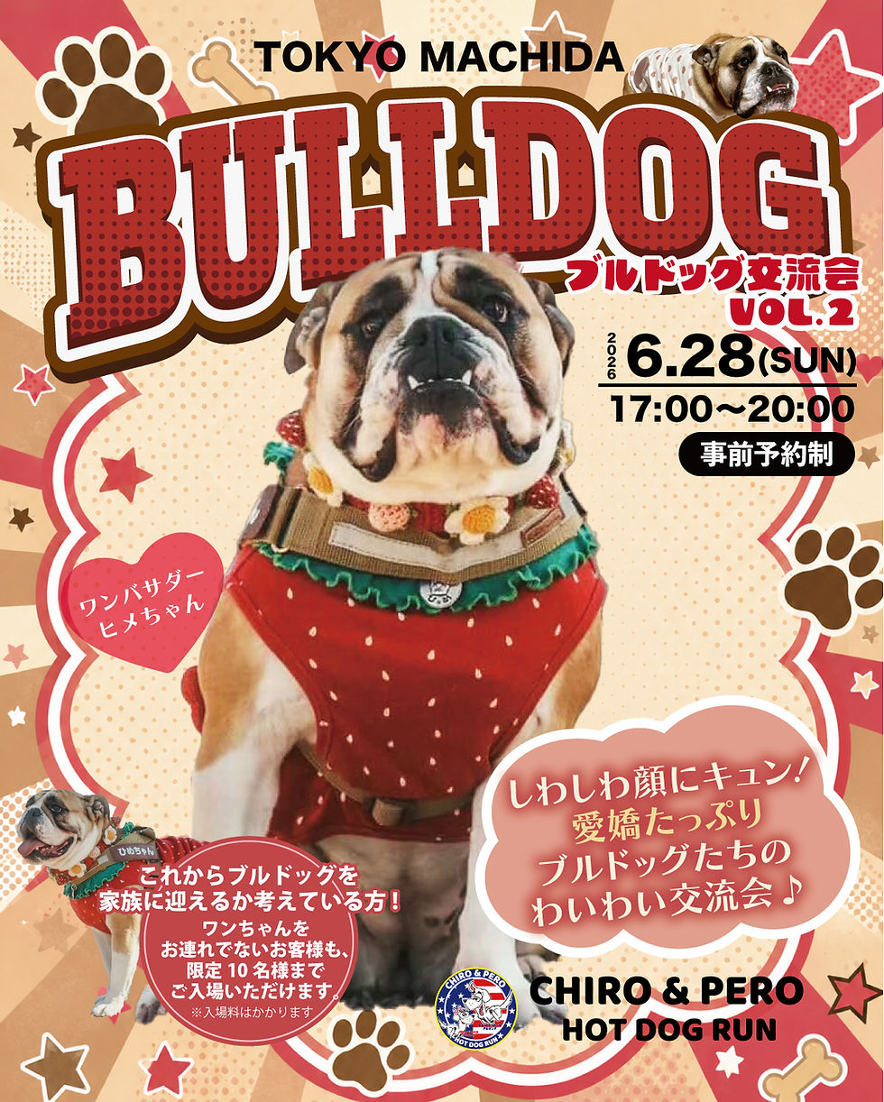 ブルドッグ交流会Vol.2