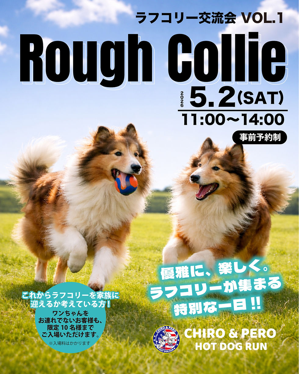 ラフコリー交流会Vol.1