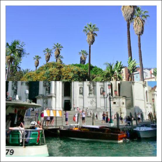 Boats & Palm Trees