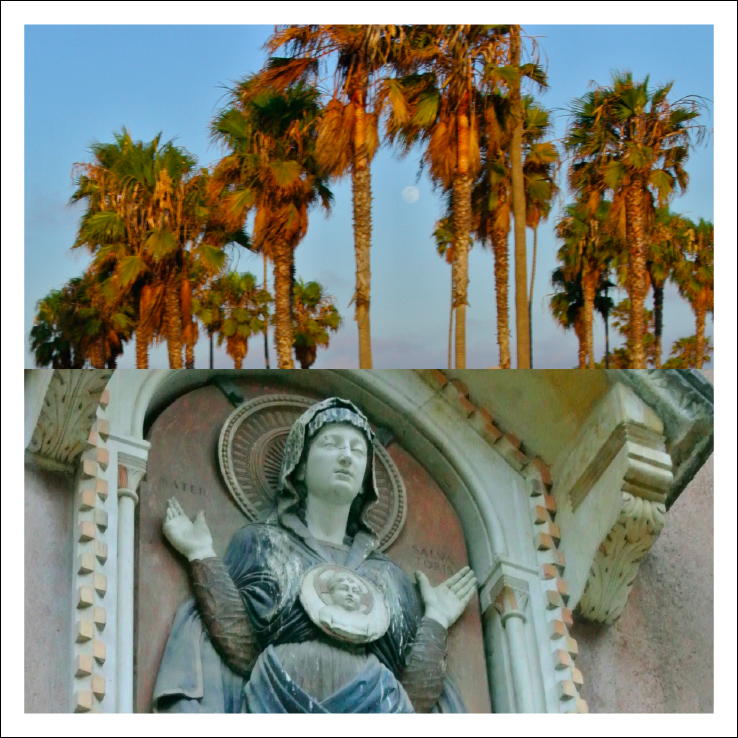 Virgin & Palm Trees