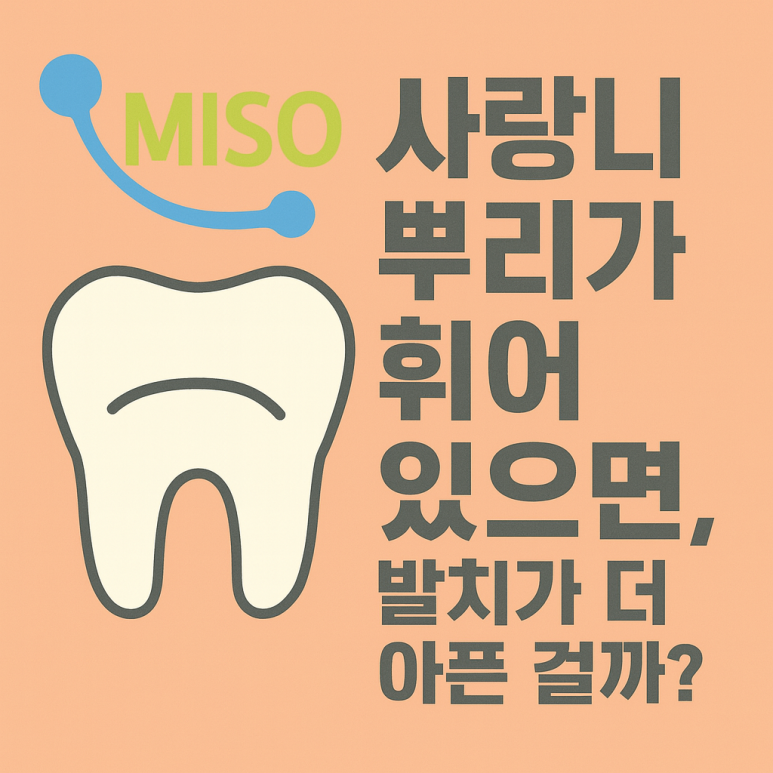 사랑니 뿌리가 휘어 있으면, 발치가 더 아픈 걸까? 뿌리 모양에 따라 달라지는 사랑니 발치 난이도
