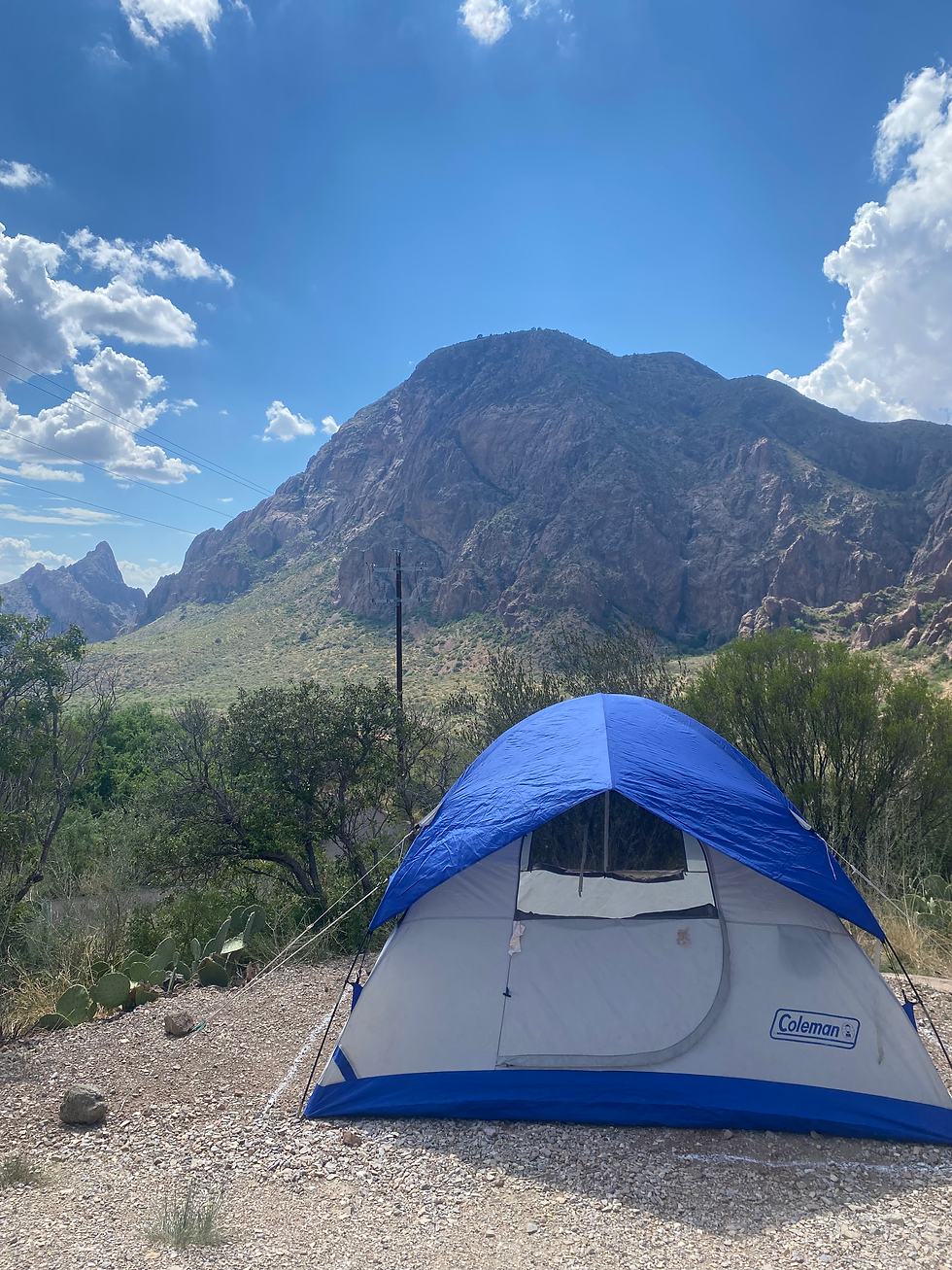 A campsite in the Chisos Basin Campground. Photo by Alex Alley.