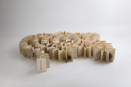 Paper-strip