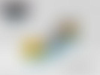 WASTED OPPS X GUCCI  COLLABORATION SNEAKER CONCEPT