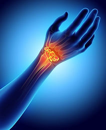 Hand & Wrist