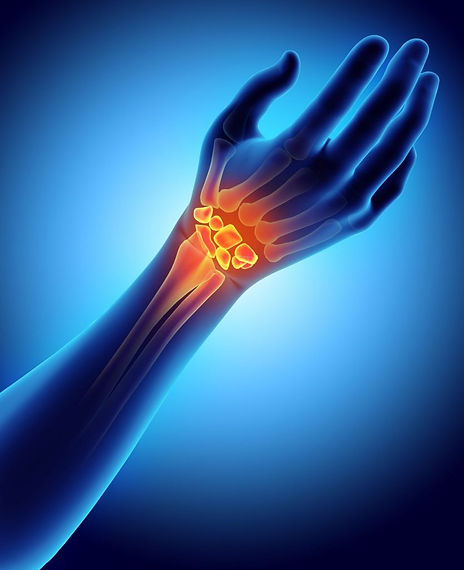 Hand & Wrist