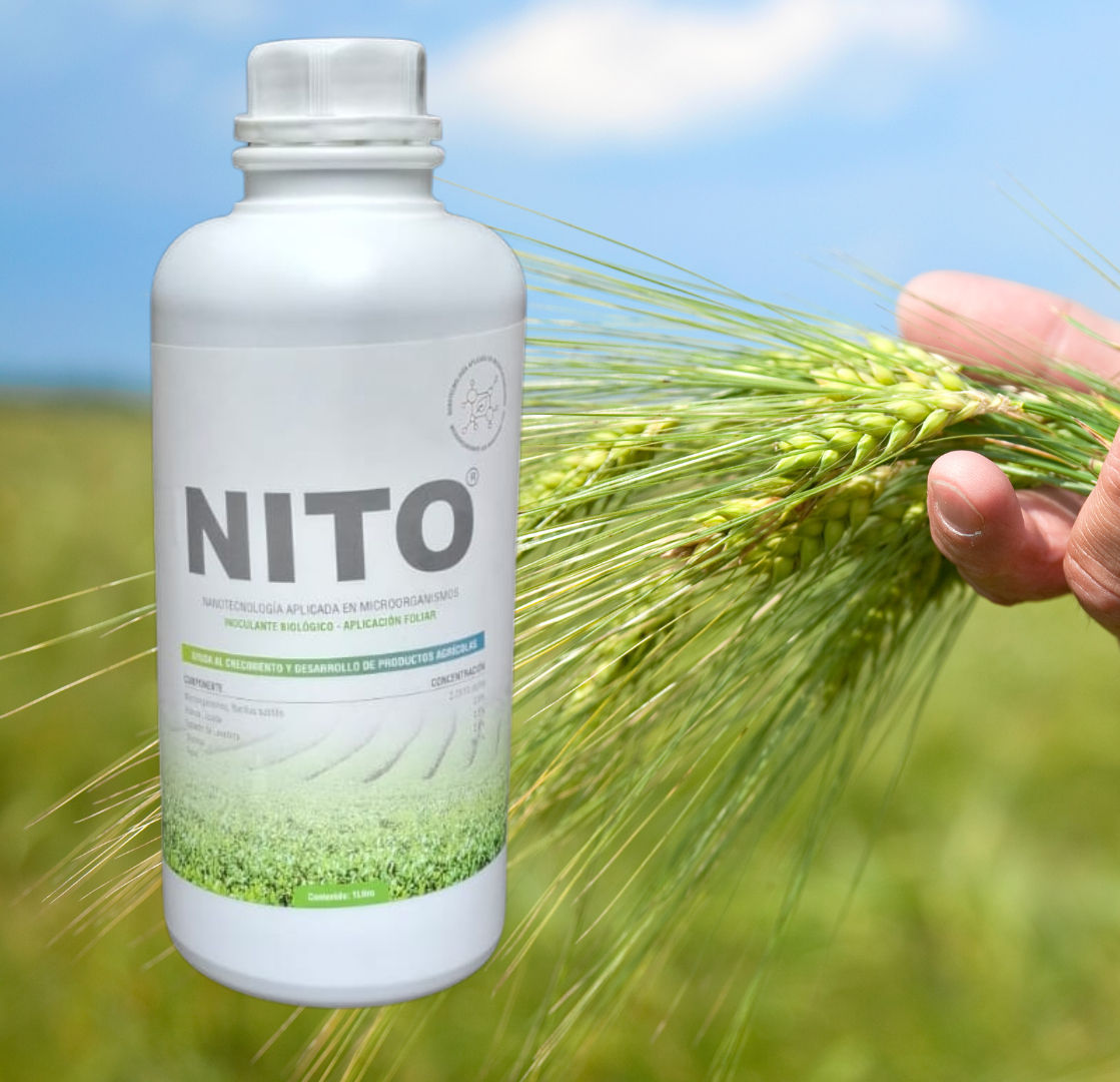 Nano Biofertilizante