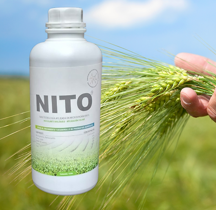 Diseño sin título.png