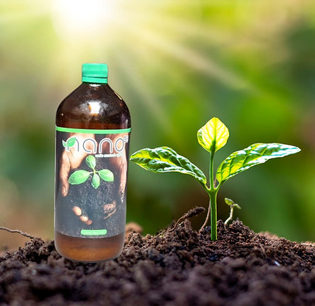 Diseño sin título.jpg