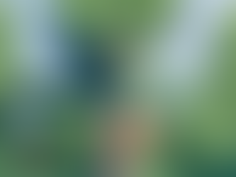 Daylight x Spark Foundation: The Forest of Opportunity