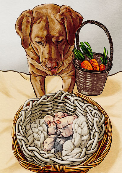 Dog_Babybuns.jpg
