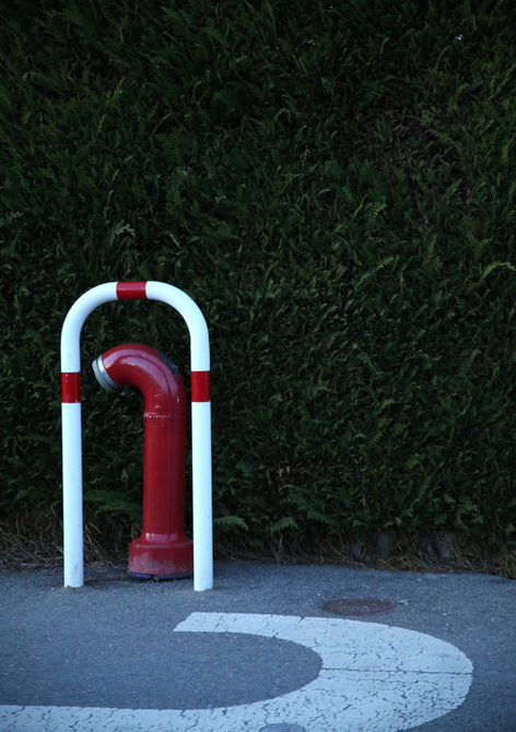 Borne rouge et blanche près du mur végétal. JRP photographe.