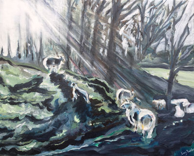 Early Morning Sheep and Lambs