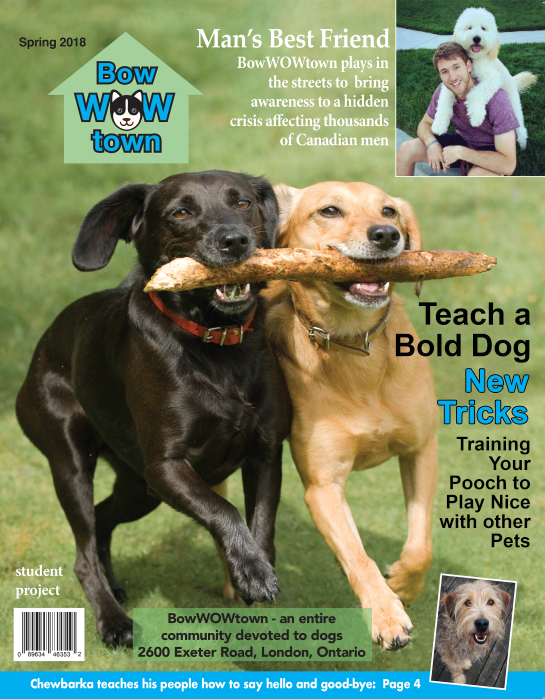 Magazine Cover