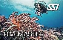 DiveMaster_edited.jpg