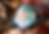 Rainbow Parrotfish