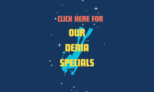 DEMA Specials - Book an Appointment