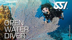 Open Water Diver