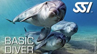 Basic diver certification