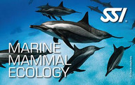 Marine Mammal Ecology
