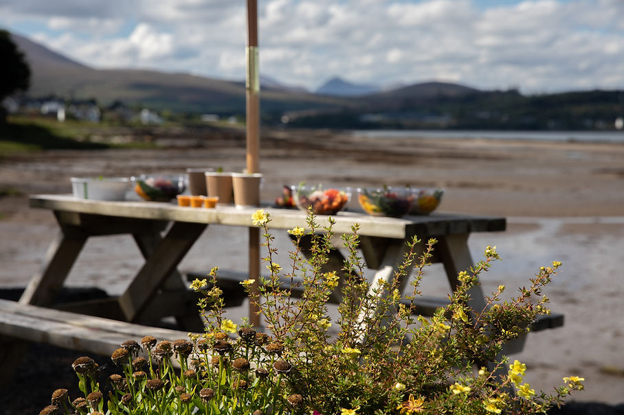 Self Health Food on picnic table overlooking Broadford Bay