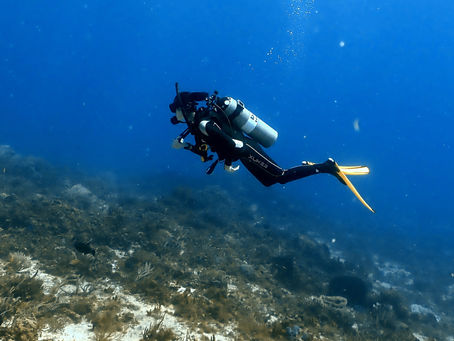 Diver Drifting Over the Cozumel Reef