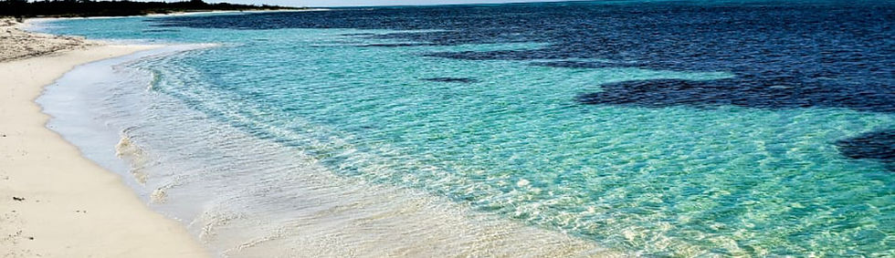 Beach Shore Ocean