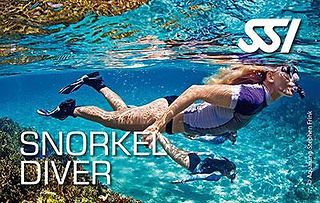 Snorkel Diver