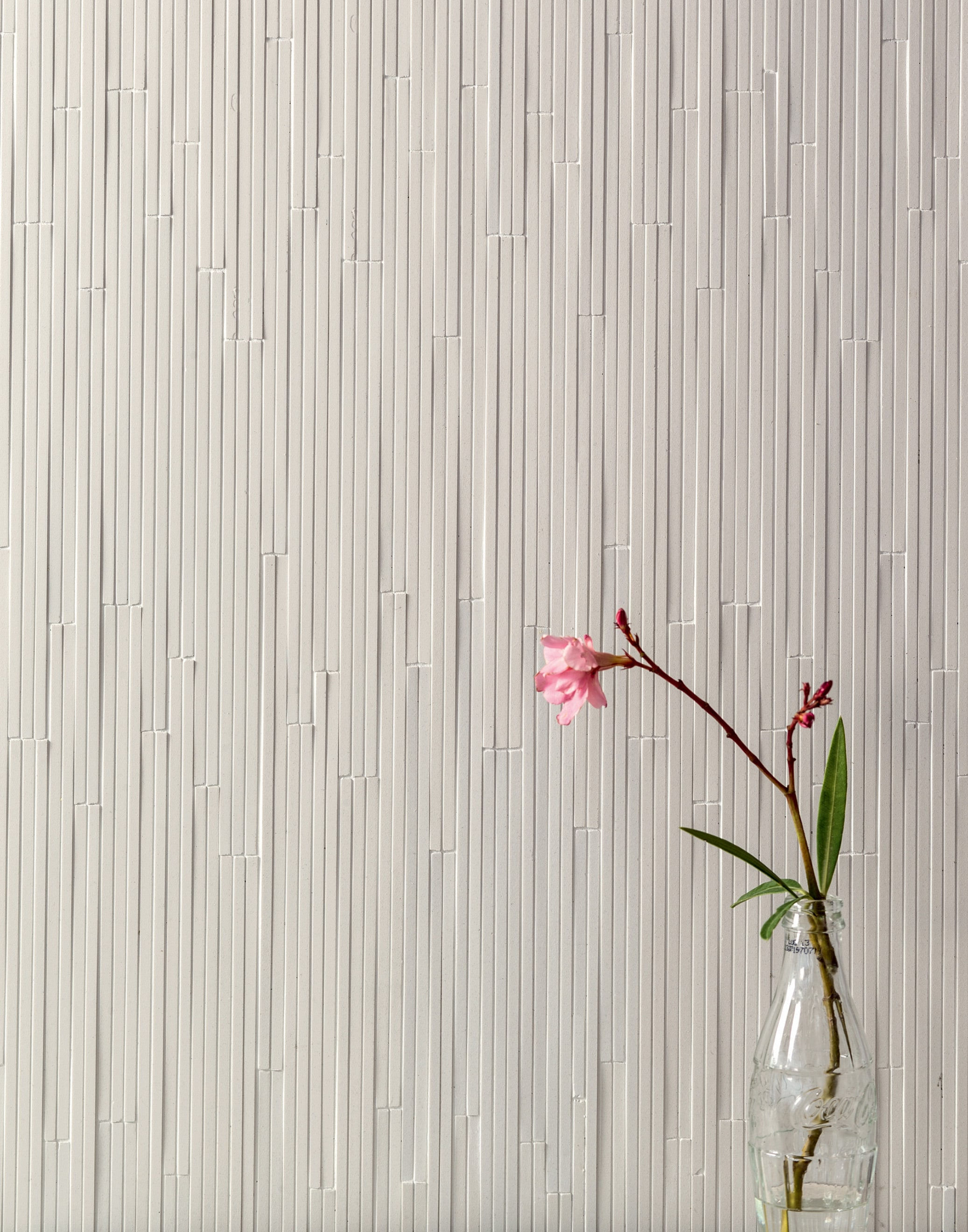 Mutina | Phenomenon