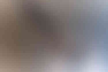 DSCF961031-10-25All Images5.6