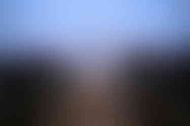 DSCF483126-03-2613 January 2026 04-12-585.6.jpg