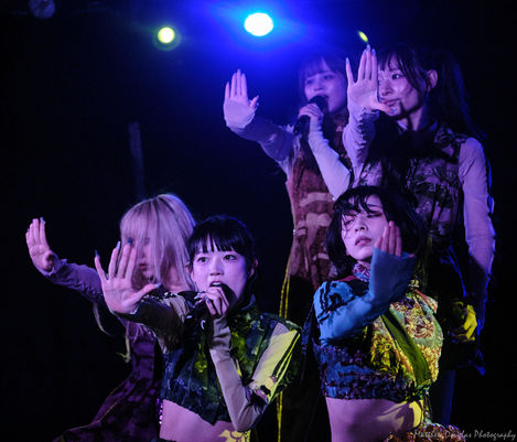 DSCF066712-06-25All ImagesAmended2Reduced.jpg