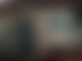 L'armistice du 11 novembre