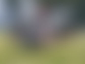 Les reconstitueurs historiques