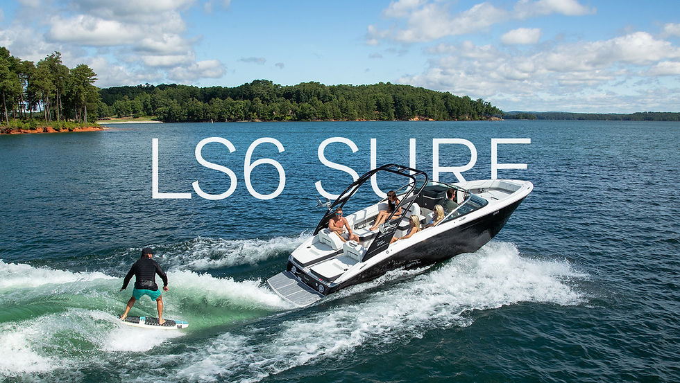 LS6-Surf-Hero.jpg